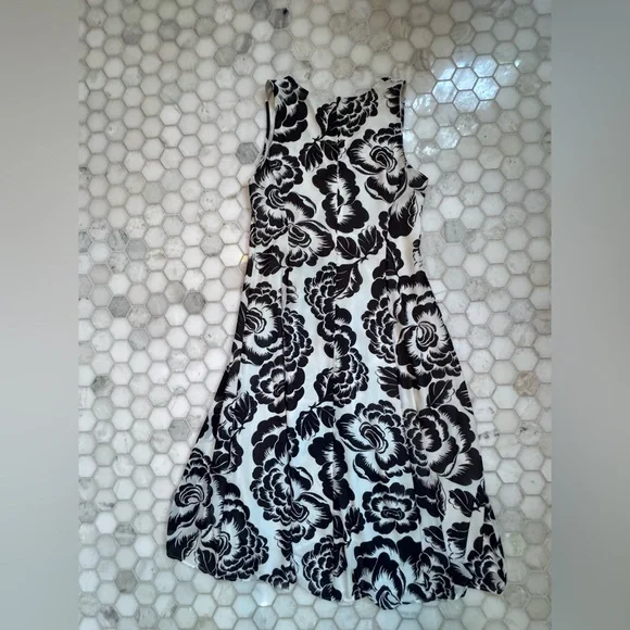 Ann Taylor Navy & White Floral Fit and Flare Dress Fully Lined Sleeveless - Picture 5 of 14